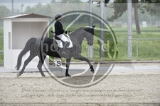 ref. photo 3590508