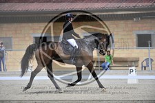 ref. photo 3590527