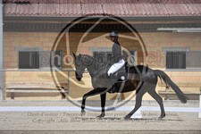 ref. photo 3590535