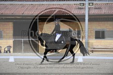 ref. photo 3590536