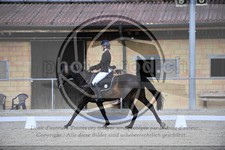 ref. photo 3590537