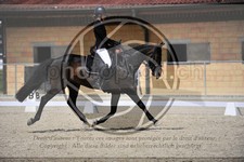 ref. photo 3590541