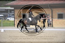 ref. photo 3590543