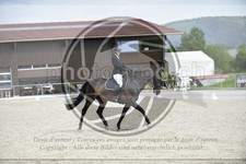 ref. photo 3590553