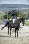 ref. photo 3590562