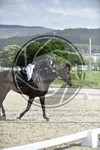 ref. photo 3590564