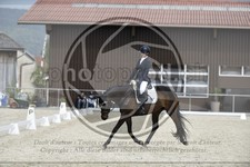 ref. photo 3590580