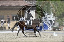 ref. photo 3590702