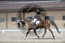ref. photo 3590706