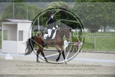 ref. photo 3590716