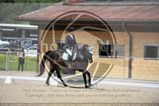 ref. photo 3590733