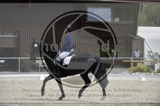 ref. photo 3590747