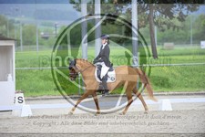 ref. photo 3590838