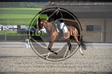 ref. photo 3590906