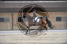 ref. photo 3590920