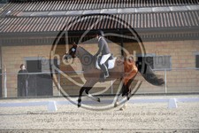 ref. photo 3590921