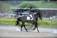ref. photo 3590933
