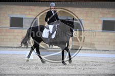 ref. photo 3590936