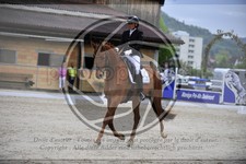 ref. photo 3590982