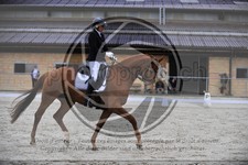 ref. photo 3590986
