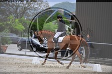 ref. photo 3590987