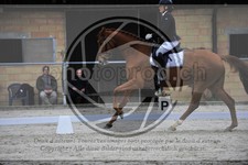 ref. photo 3590996