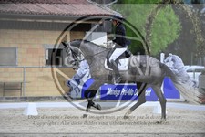 ref. photo 3591022
