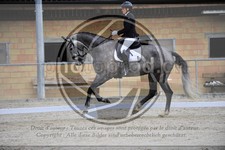 ref. photo 3591023