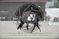 ref. photo 3591039