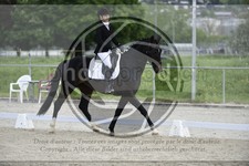 ref. photo 3591046
