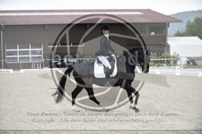 ref. photo 3591047
