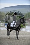 ref. photo 3591052