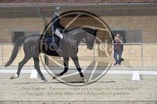 ref. photo 3591076