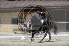 ref. photo 3591079