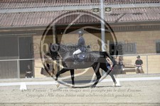ref. photo 3591081