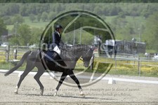 ref. photo 3591084