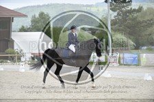 ref. photo 3591097