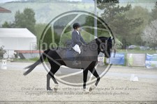 ref. photo 3591102
