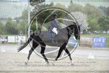 ref. photo 3591103