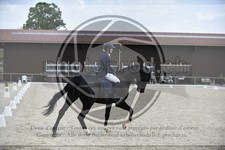 ref. photo 3591104