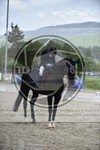 ref. photo 3591107