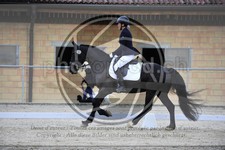 ref. photo 3591116