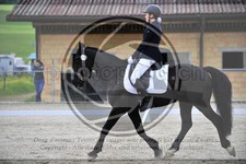 ref. photo 3591120