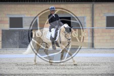 ref. photo 3591146