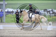 ref. photo 3591158