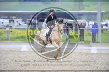 ref. photo 3591160