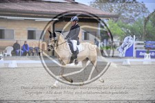 ref. photo 3591168