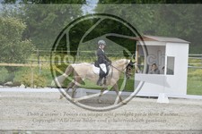 ref. photo 3591186