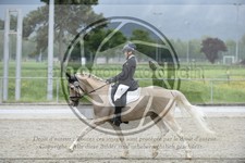 ref. photo 3591193