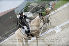 ref. photo 3591199
